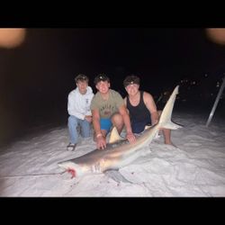 A group of people fishing for a blacktip shark in Destin