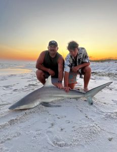 Blacktip shark fishing in Destin