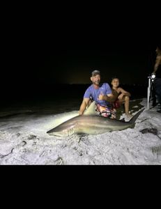 A single blacktip shark, a 51-inch big fish, caught while fishing in Destin