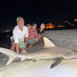Blacktip shark fishing in Destin