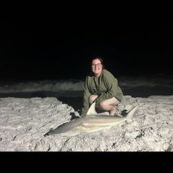 Blacktip shark caught while fishing in FL