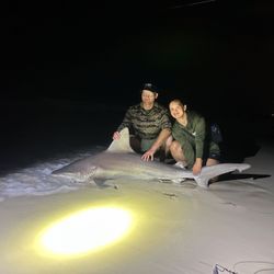 Blacktip shark, 68-inch catch, fishing in FL