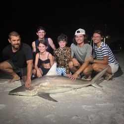 Blacktip shark, 62 inches, fishing in FL
