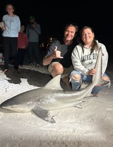 Blacktip shark measuring 42 inches, fishing in FL