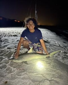 Blacktip shark caught while fishing in Florida