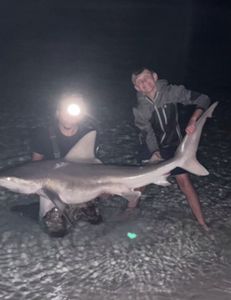 A person fishing for a blacktip shark in FL