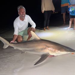 Blacktip shark caught while fishing in FL