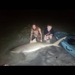 Bonnethead shark caught by two anglers in Destin