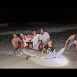 A big bonnethead shark caught while fishing in FL