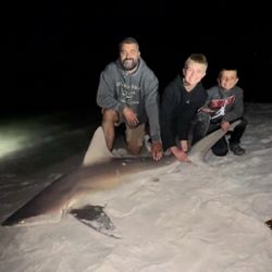 Fishing for a Bull Shark in FL