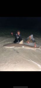 A bull shark, a large fish, caught while fishing in FL