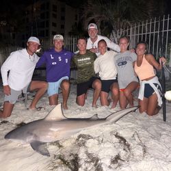 Impressive bull shark catch in FL