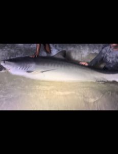 Fishing at the beautiful Destin coastline