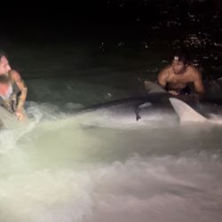 Person fishing in Destin