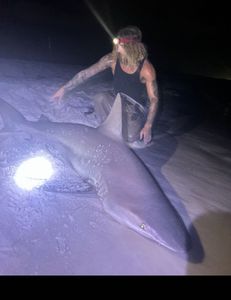 Angler catching dusky smooth-hound fish in Florida
