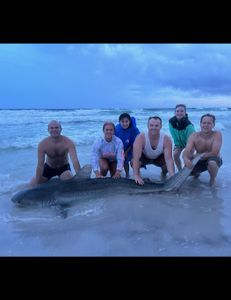 6 people fishing in Destin