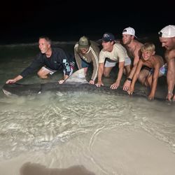 6 people fishing in FL