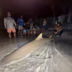 7 people fishing in FL