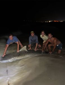 Four people fishing in Destin