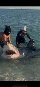 One angler fishing in FL