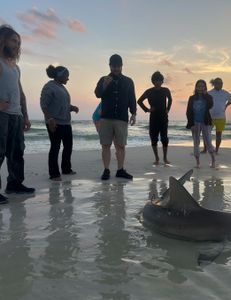 5 people fishing in FL