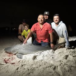 Anglers fishing in Florida