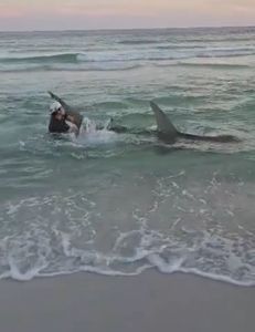 Fishing in Florida