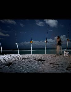 Scenic view of a fishing location in Florida