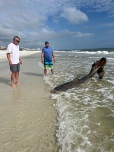 Three people fishing in Destin
