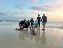 Group of 7 people enjoying fishing trip in Destin