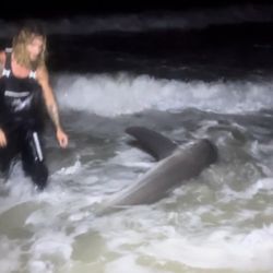 Lone angler fishing in Florida