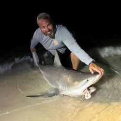Bull Shark fishing in FL