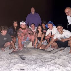 Sandbar shark caught fishing in Florida