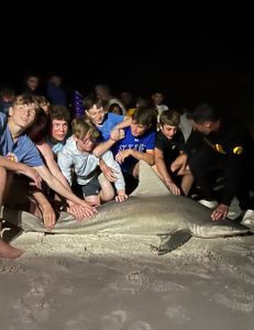 Sandbar shark, 100 inches long, fishing in Destin