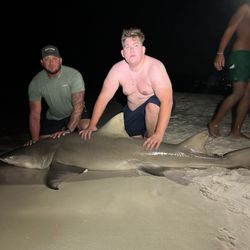 Sand Tiger Shark fishing in FL