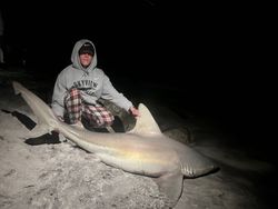 A sandbar shark measuring 61 inches, caught while fishing in Destin.