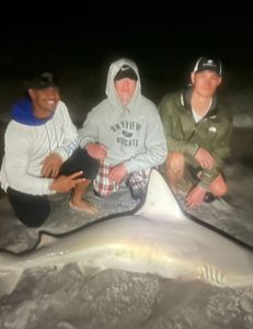 Sandbar shark measuring 41 inches caught while fishing in FL