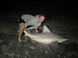 Sandbar shark fishing in FL