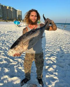 One angler with a big 21-inch catch in Destin