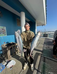 Two Spanish Mackerel fish caught by fishermen in Destin