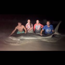 A group of 4 people fishing in FL