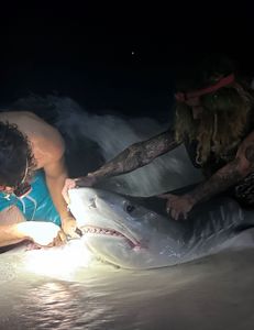 Fishing adventure in Florida
