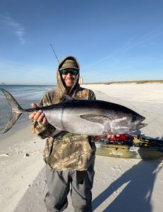 A large yellowfin tuna caught fishing in FL