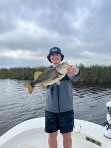 Solid largemouth bass on a family fishing trip