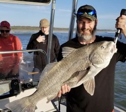 Black drum fish caught in D'Iberville