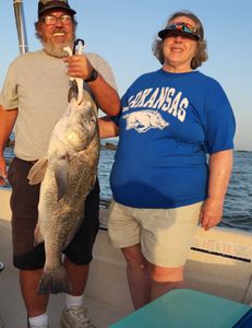 A black drum fish caught during a fishing trip in D'Iberville