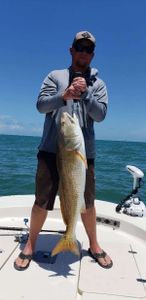 Fisherman with 1 big fish in D'Iberville