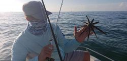 A fishing trip in MS