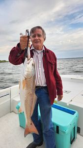Redfish caught in D'Iberville, Louisiana