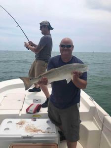 Redfish, 48 inches, caught fishing in D'Iberville